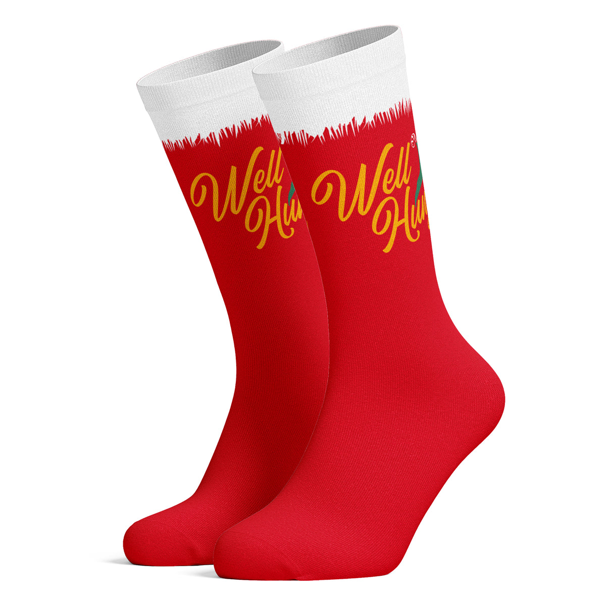 http://nerdyshirts.com/cdn/shop/files/021-wellhung-sock-together_1200x1200.jpg?v=1695830477