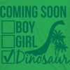 Maternity Coming Soon: Dinosaur Pregnancy Tshirt Funny Jurassic Tee For Belly Bump