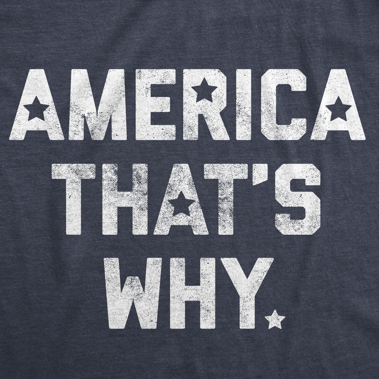 America That's Why Men's Tshirt