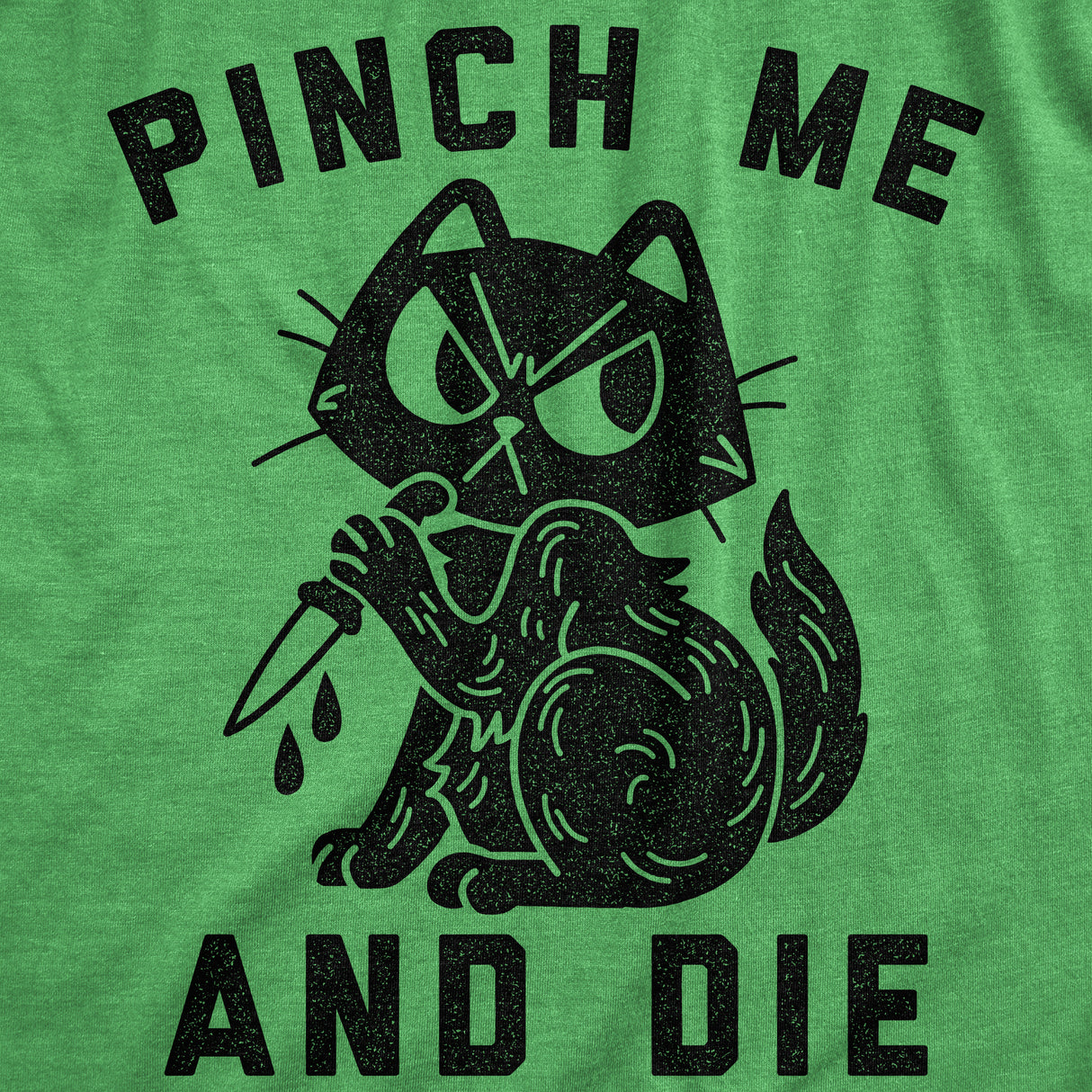 Womens Pinch Me And Die T Shirt Funny Cat Saint Patricks Day T Shirt Sarcastic