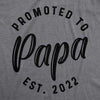 Mens Promoted To Papa 2023 or 2022 Tshirt Funny New Baby Family Graphic Tee