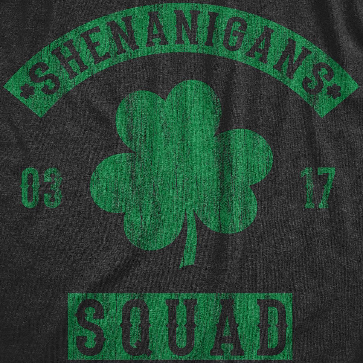 Womens Shenanigans Coordinator Tshirt Funny Saint Patrick's Day Parade Graphic Novelty Tee For Ladies