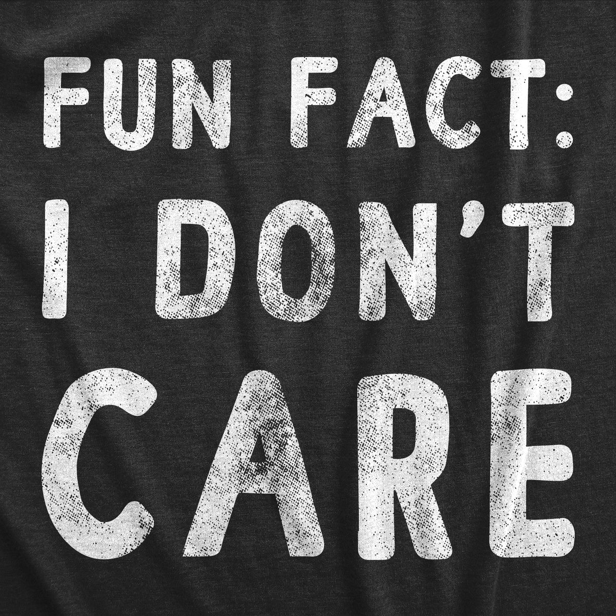 Mens Fun Fact I Don?t Care T Shirt Funny Sarcastic Joke Text Tee for Guys