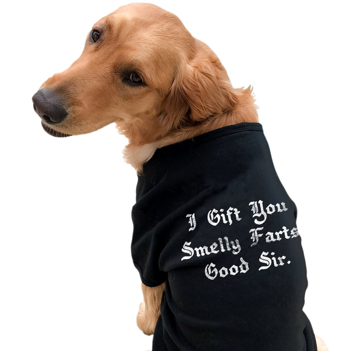 Dog Shirt I Gift You Smelly Farts Good Sir Funny Pet Nasty Puppy Gas Novelty Graphic Tee For Dogs