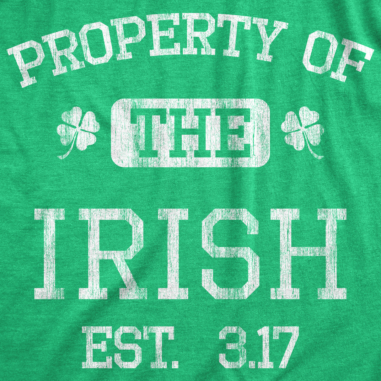 Mens Property Of The Irish T Shirt Funny St Patricks Day Cool Saint Paddy Tee Outfit Graphic