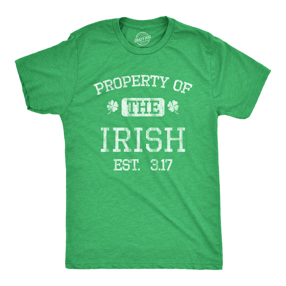 Mens Property Of The Irish T Shirt Funny St Patricks Day Cool Saint Paddy Tee Outfit Graphic
