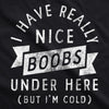 I Have Really Nice Boobs Under Here But Im Cold Unisex Hoodie Funny Boob Joke Novelty Sweatshirt