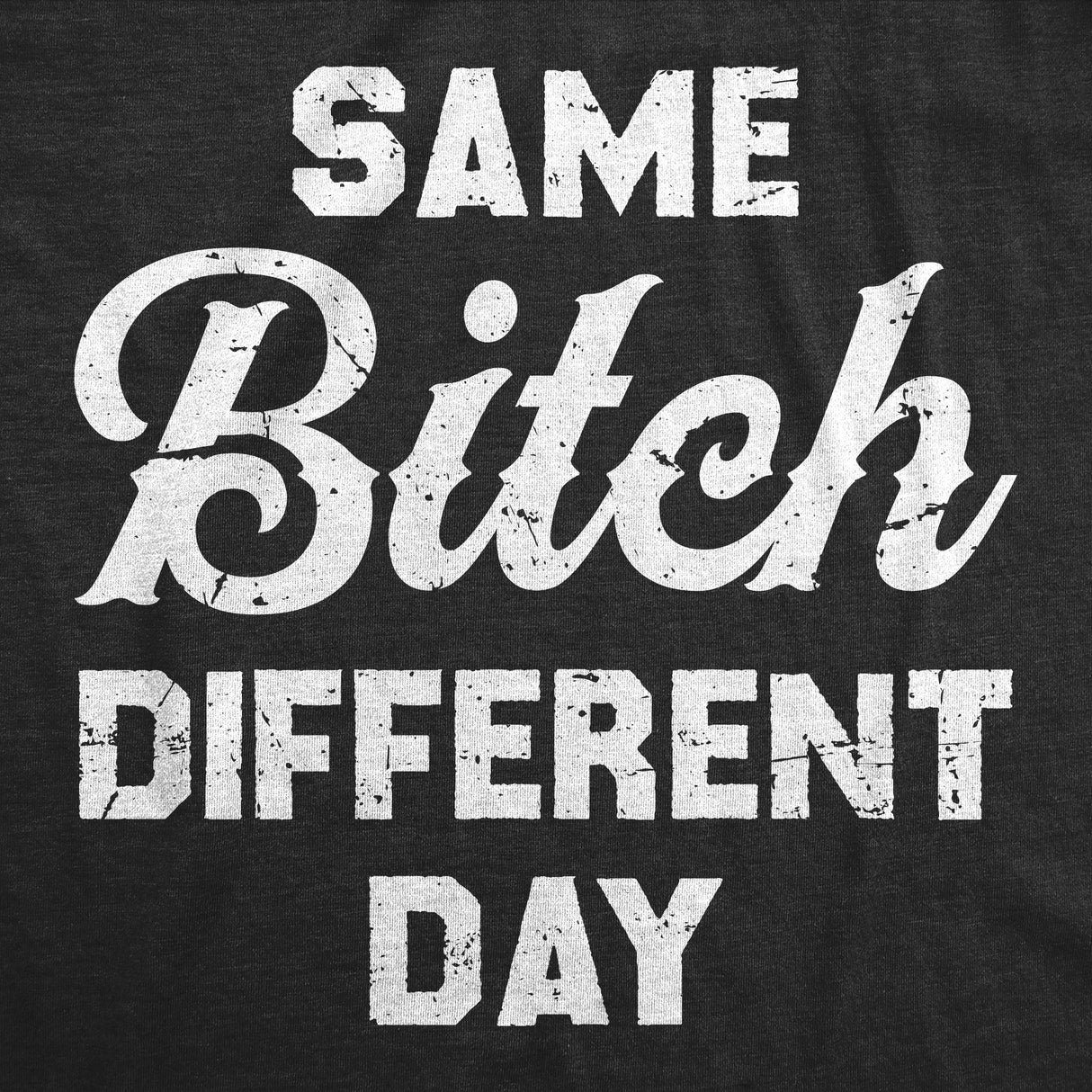 Mens Same Bitch Different Day T Shirt Funny Offensive Vulgar Joke Tee for Guys