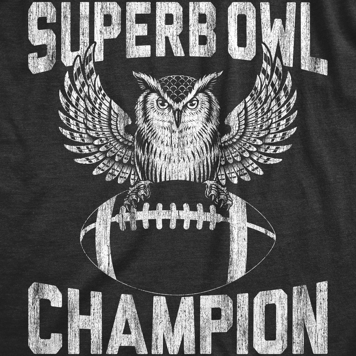 Mens Superb Owl Champion T Shirt Funny Sarcastic Football Pun Graphic Tee For Guys