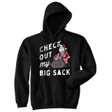 Check Out My Big Sack Unisex Hoodie Funny Xmas Santa Claus Adult Joke Hooded Sweatshirt