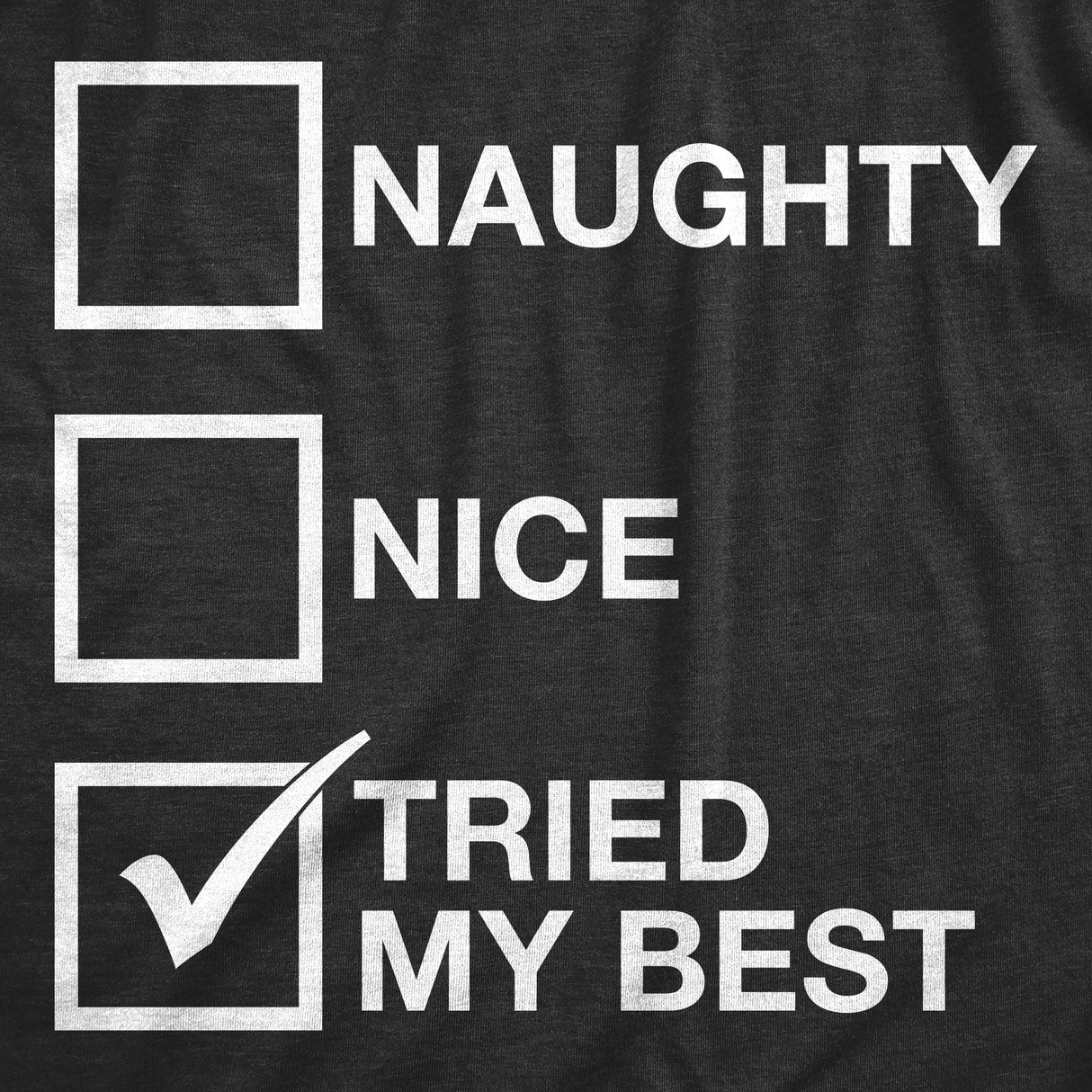 Womens Naughty List Nice List Tried My Best Funny Saying Santa Christmas T shirt