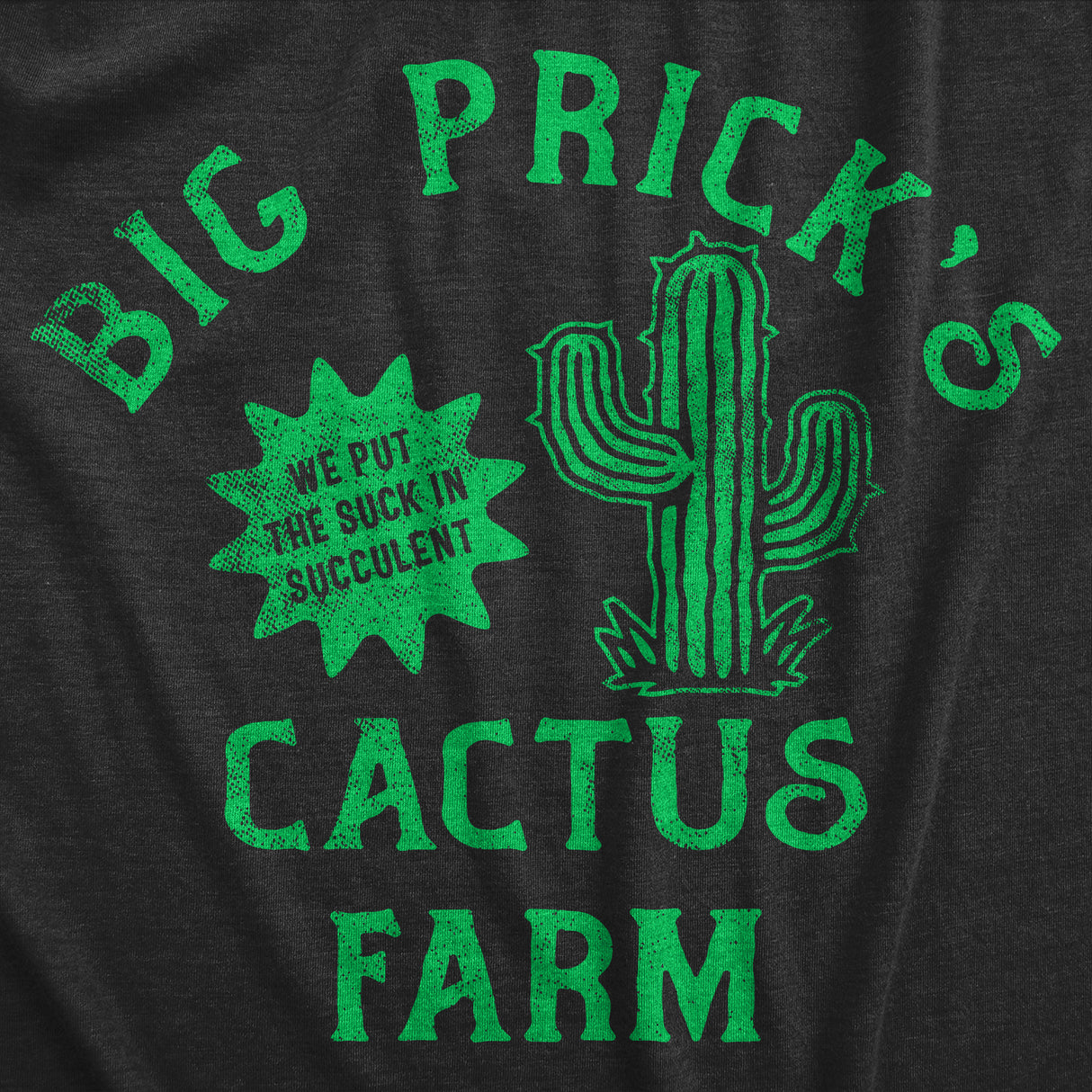 Mens Big Pricks Cactus Farm T Shirt Funny Succulent Prickles Shop Joke Tee For Guys