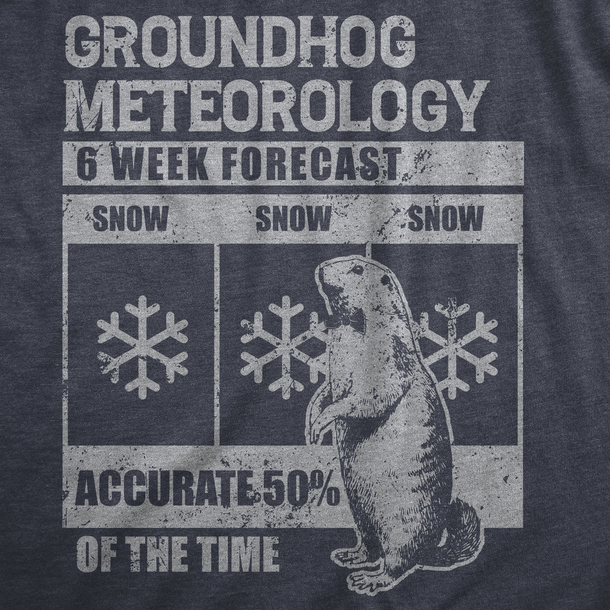 Womens Groundhog Meteorology T Shirt Funny Groundhogs Day Winter Weather Forecast Joke Tee For Ladies