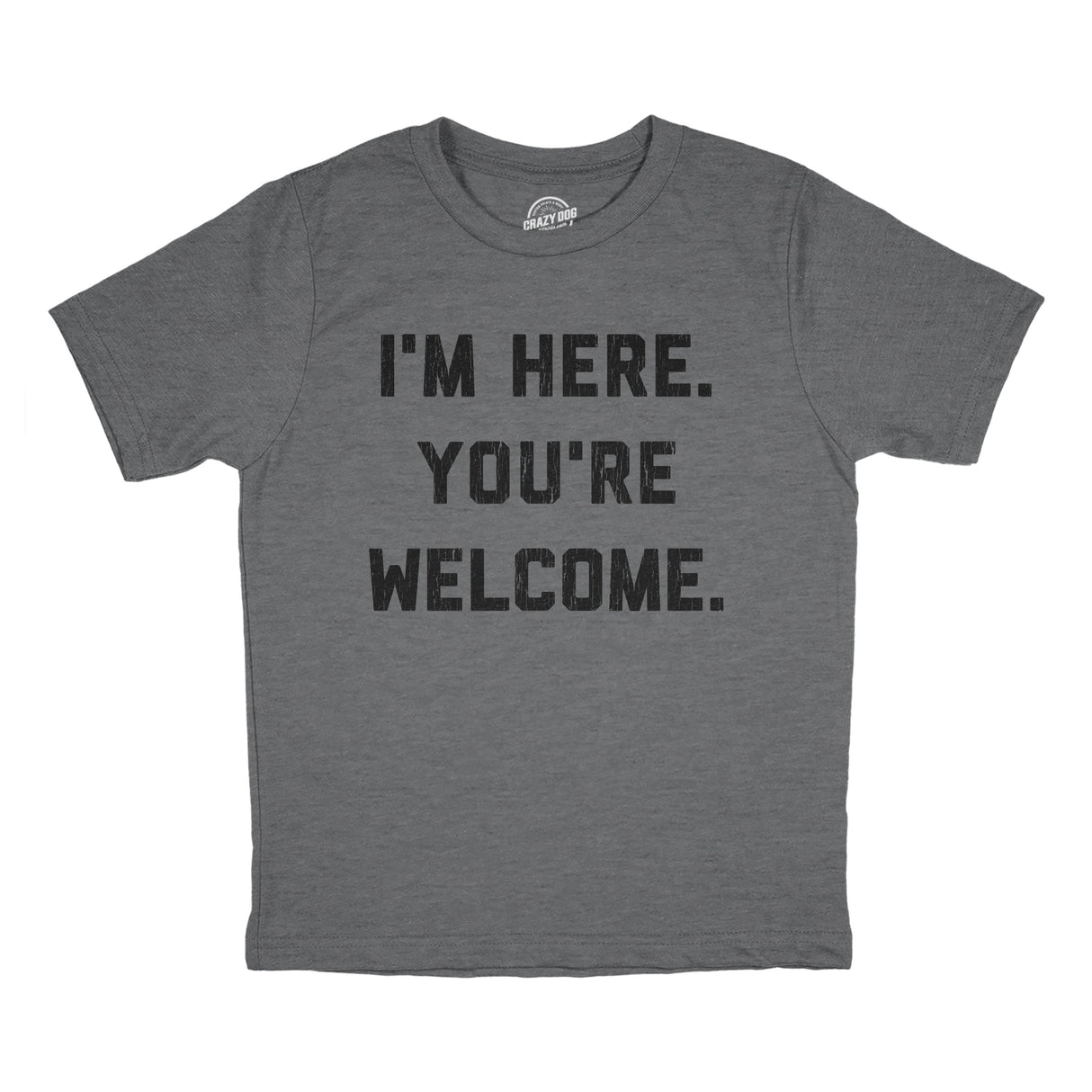 Youth Im Here Youre Welcome T Shirt Funny Ego Joke Tee For Kids