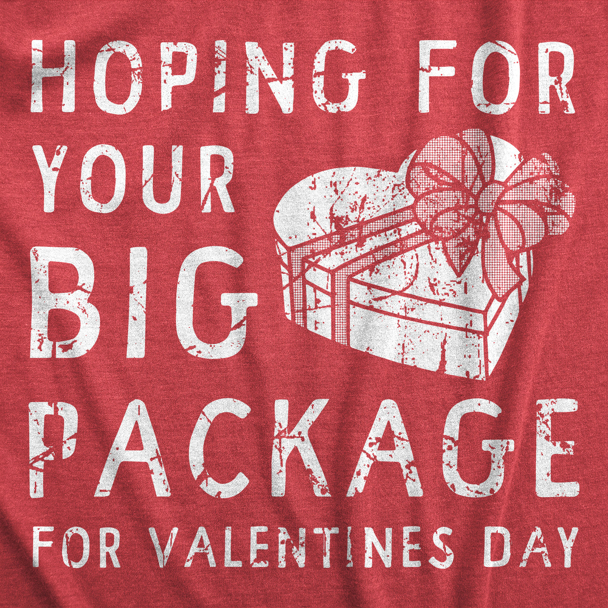 Womens Hoping for Your Big Package Funny Valentines Day T Shirt for Women