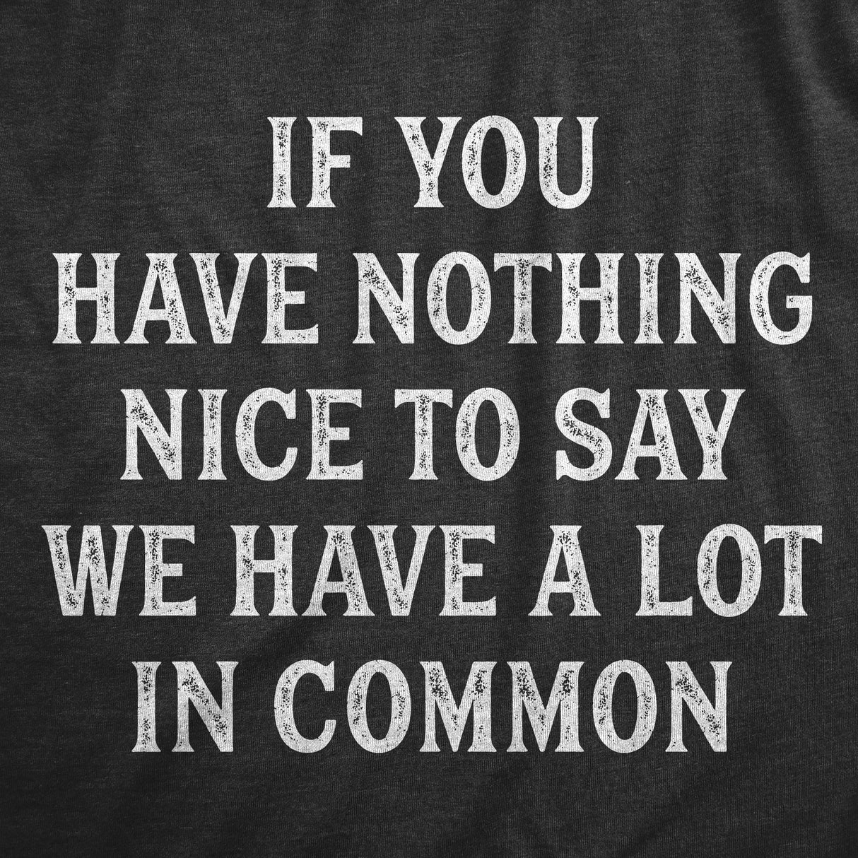 Womens If You Have Nothing Nice To Say We Have A Lot In Common T Shirt Funny Rude Joke Saying Tee For Ladies