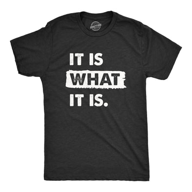 Mens It Is What It Is T Shirt Funny Sarcastic Accepting Coping Saying Tee For Guys