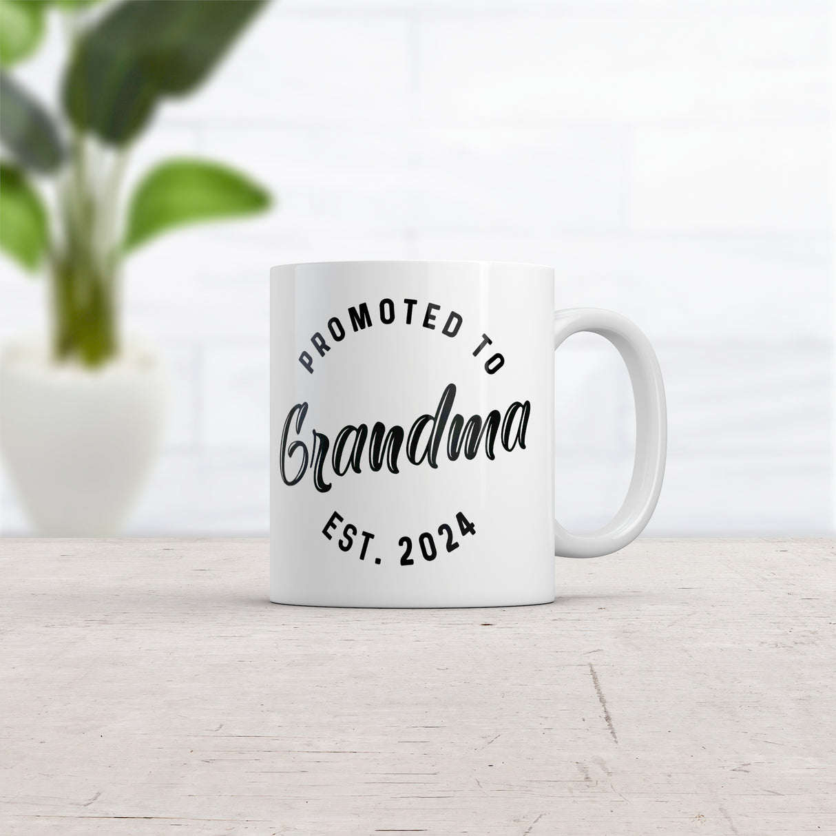 Promoted To Grandma 2024 Mug Funny Family Baby Announcement Coffee Cup-11oz