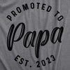 Mens Promoted To Papa 2023 or 2022 Tshirt Funny New Baby Family Graphic Tee