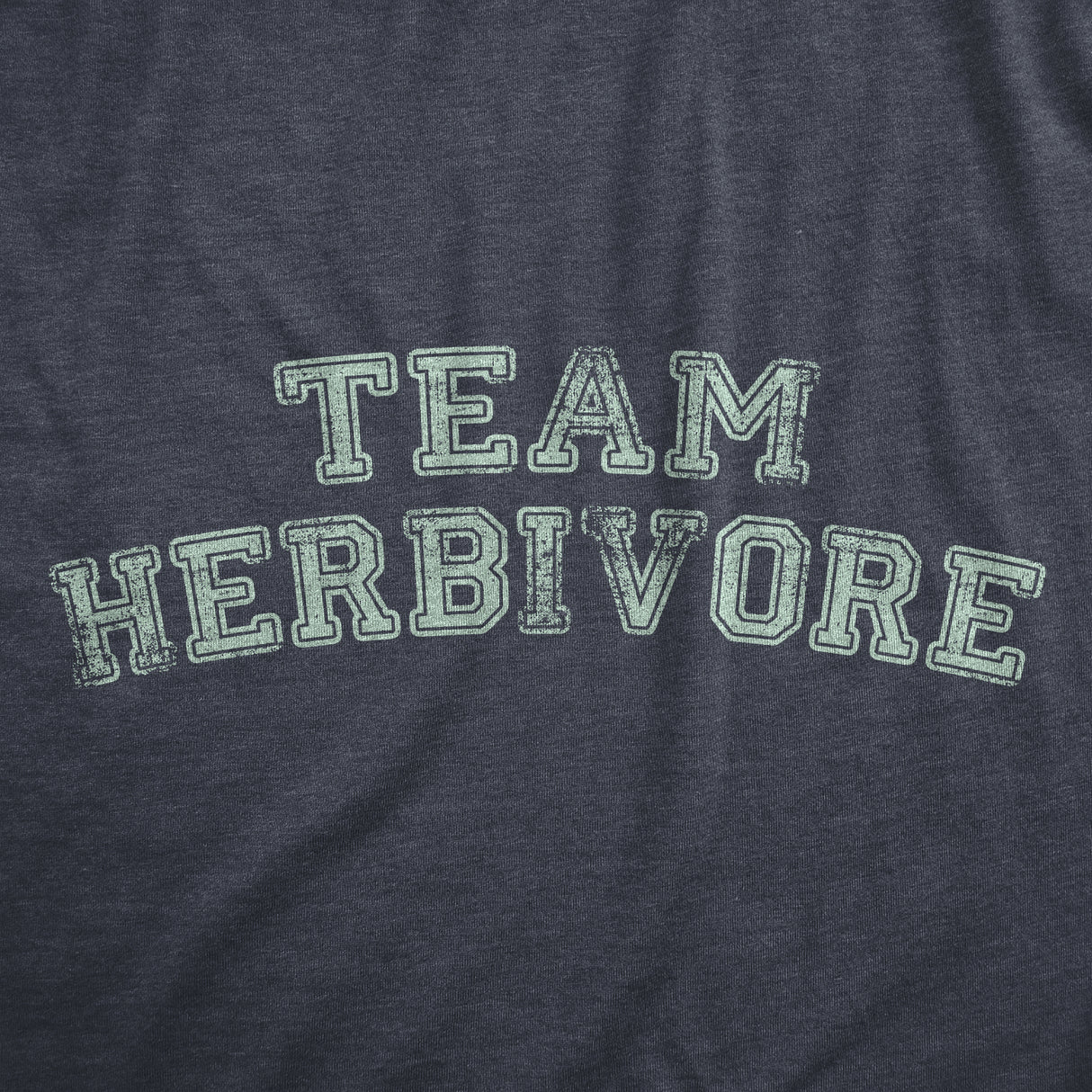 Mens Team Herbivore T Shirt Funny Vegetarian Vegan Lifestyle Tee For Guys