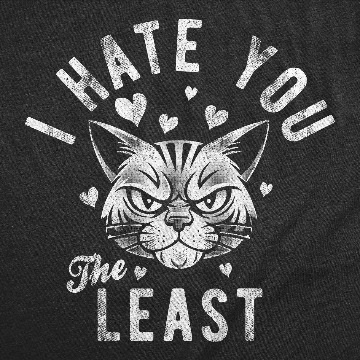 Womens Funny T Shirts I Hate You The Least Sarcastic Kitten Graphic Novelty Tee For Ladies