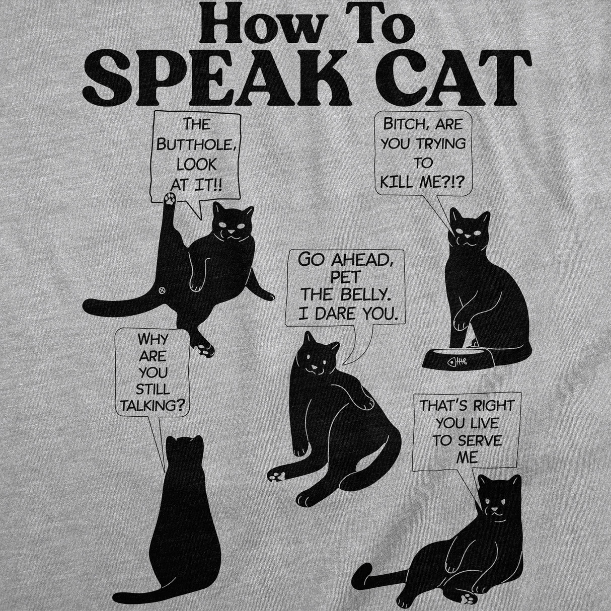 Womens Funny T Shirts How To Speak Cat Sarcastic Kitten Joke Novelty Tee For Ladies