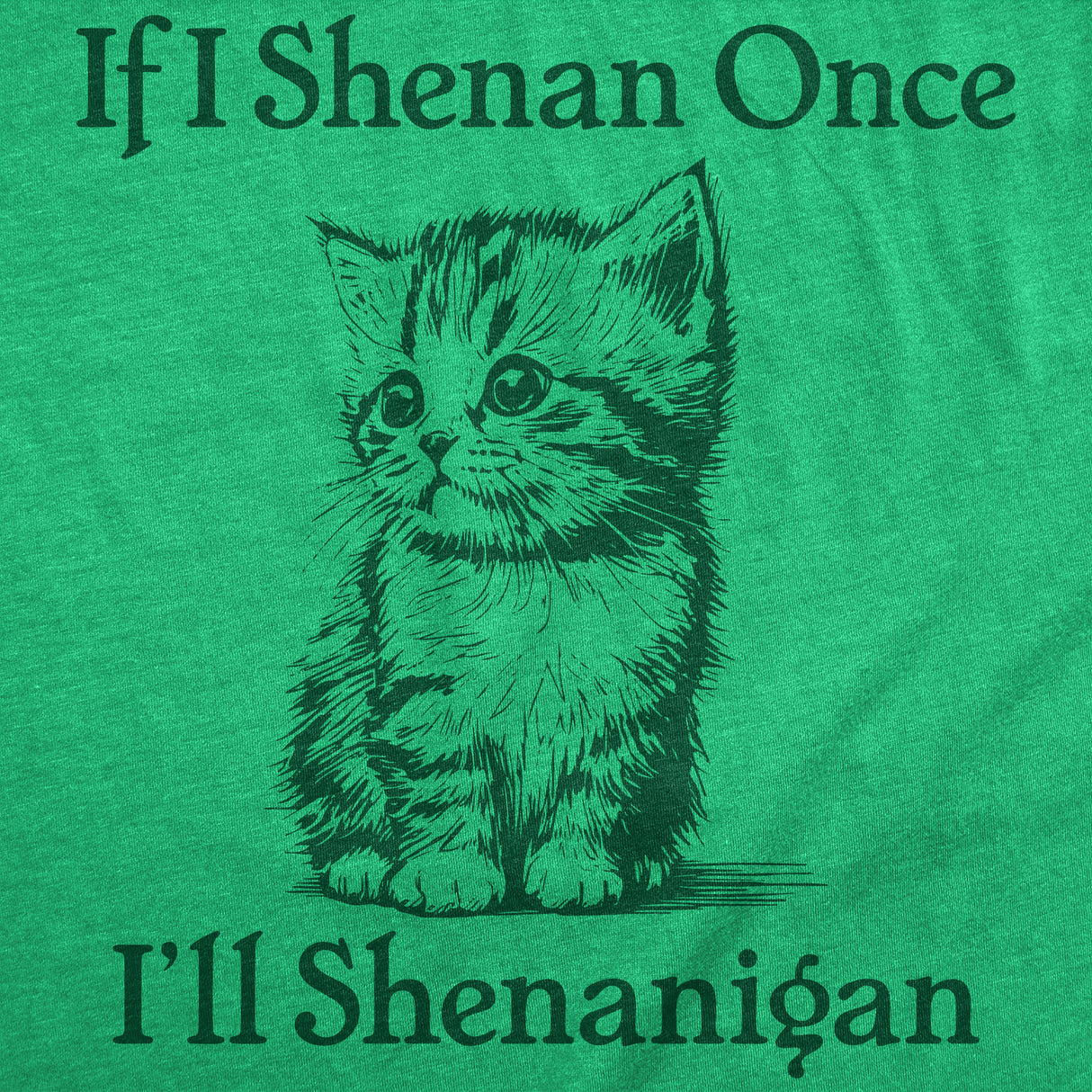 Mens Funny T Shirts If I Shenan Once Ill Shenangian Sarcastic St Patricks Day Tee for Men