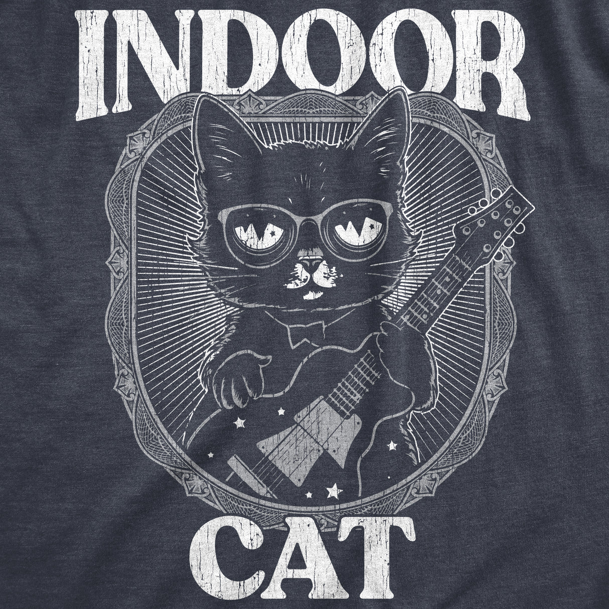 Womens Indoor Cat Funny T Shirt Introvert Sarcastic Tee For Ladies