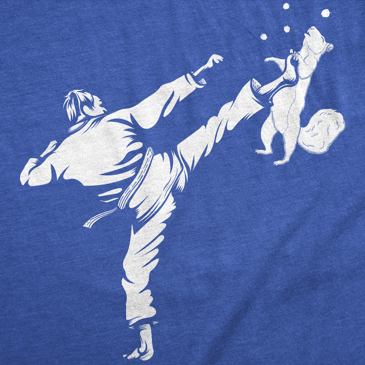 Mens Funny T Shirts Karate Kicked Squirrel Sarcastic Fighting Graphic Tee
