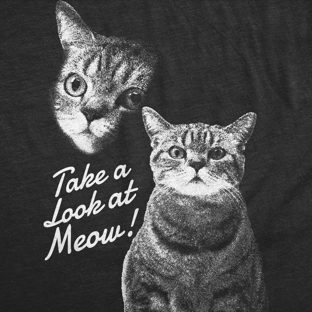 Mens Funny T Shirts Take A Loot At Meow Sarcastic Cat Graphic Novelty Tee For Men