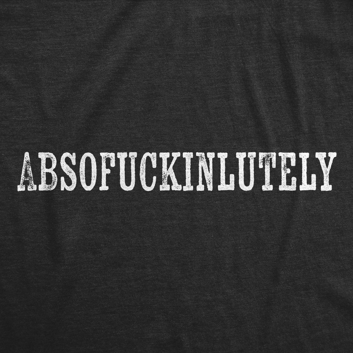 Mens Funny T Shirts Absofuckinlutely Sarcastic Graphic Novelty Tee For Men