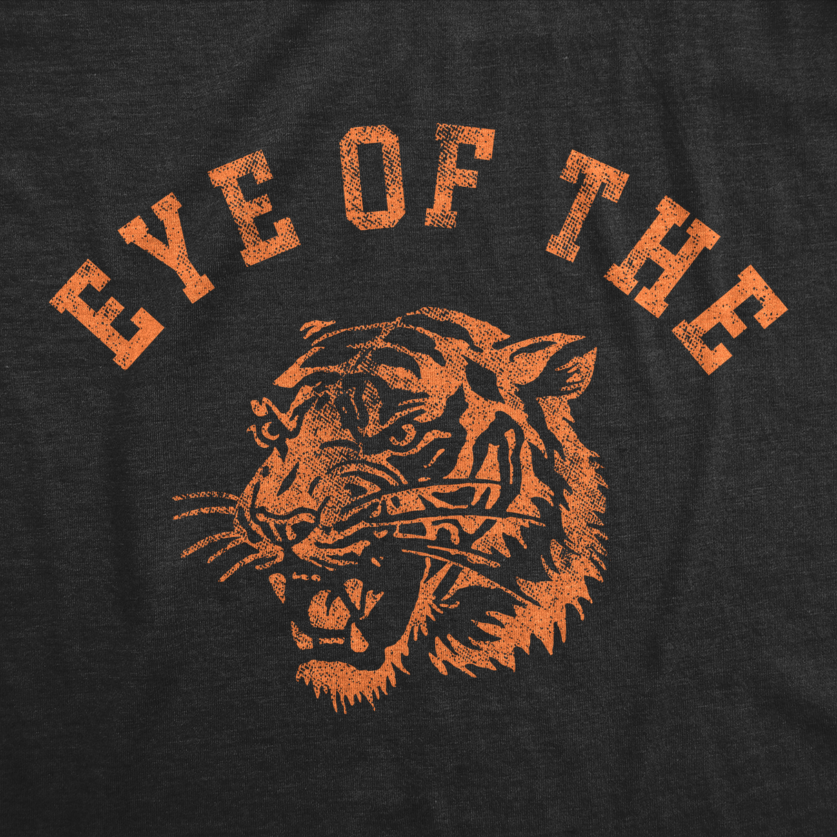 Mens Funny T Shirts Eye of the Tiger Sarcastic Graphic Novelty Tee for Men