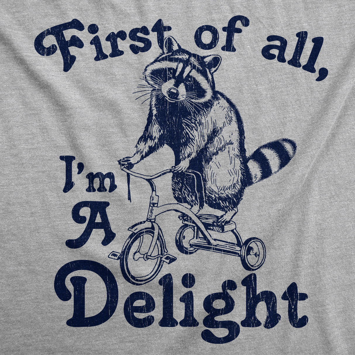 Womens Funny T Shirts First Of All Im A Delight Sarcastic Graphic Novelty Tee for Ladies