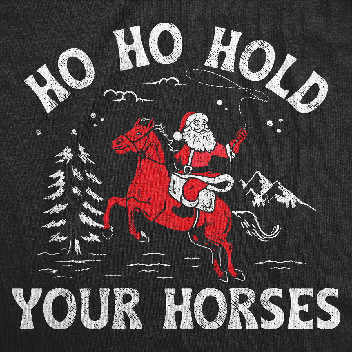 Womens Funny T Shirts Ho Ho Hold Your Horses Sarcastic Christmas Santa Claus Graphic Tee For Ladies