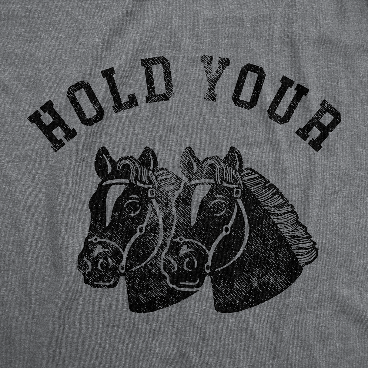 Mens Funny T Shirts Hold Your Horses Sarcastic Horse Graphic Novelty Tee For Men