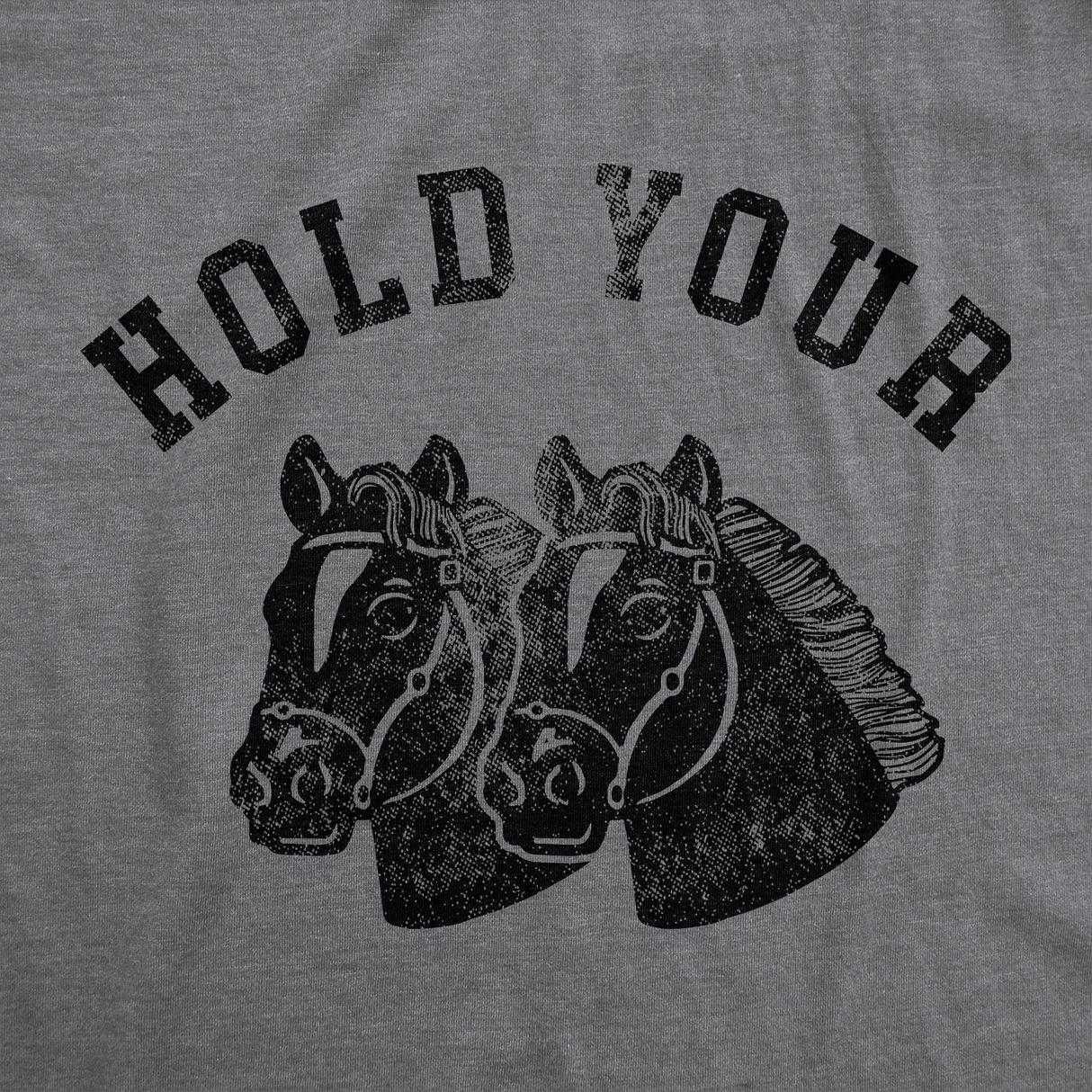 Mens Funny T Shirts Hold Your Horses Sarcastic Horse Graphic Novelty Tee for Men