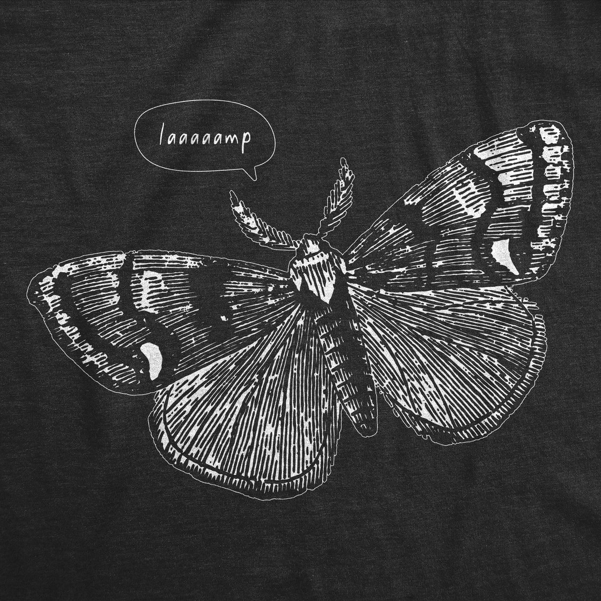 Womens Funny T Shirts Laaaaamp Sarcastic Moth Graphic Novelty Tee For Ladies