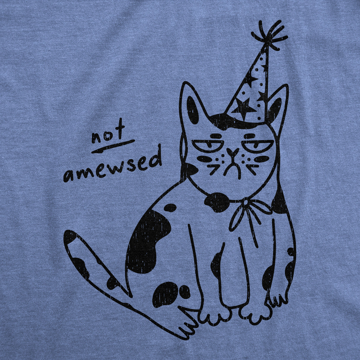 Womens Funny T Shirts Not Amewsed Sarcastic Kitten Graphic Tee For Ladies