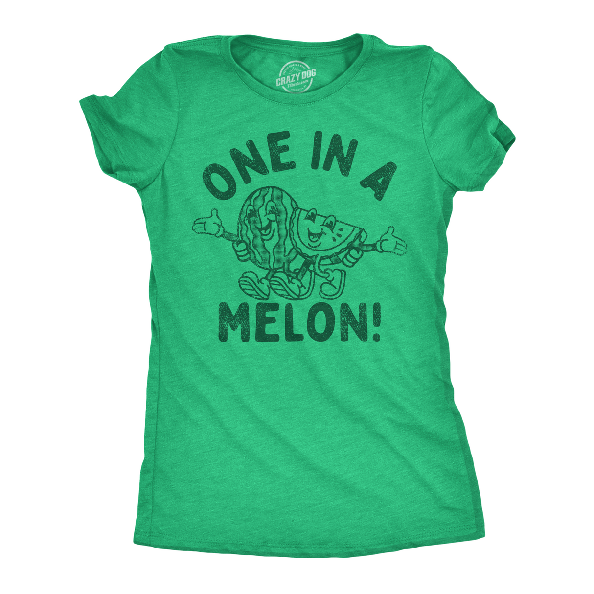 Womens Funny T Shirts One In A Melon Sarcastic Watermelon Graphic Novelty Tee for Ladies