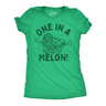 Womens Funny T Shirts One In A Melon Sarcastic Watermelon Graphic Novelty Tee for Ladies