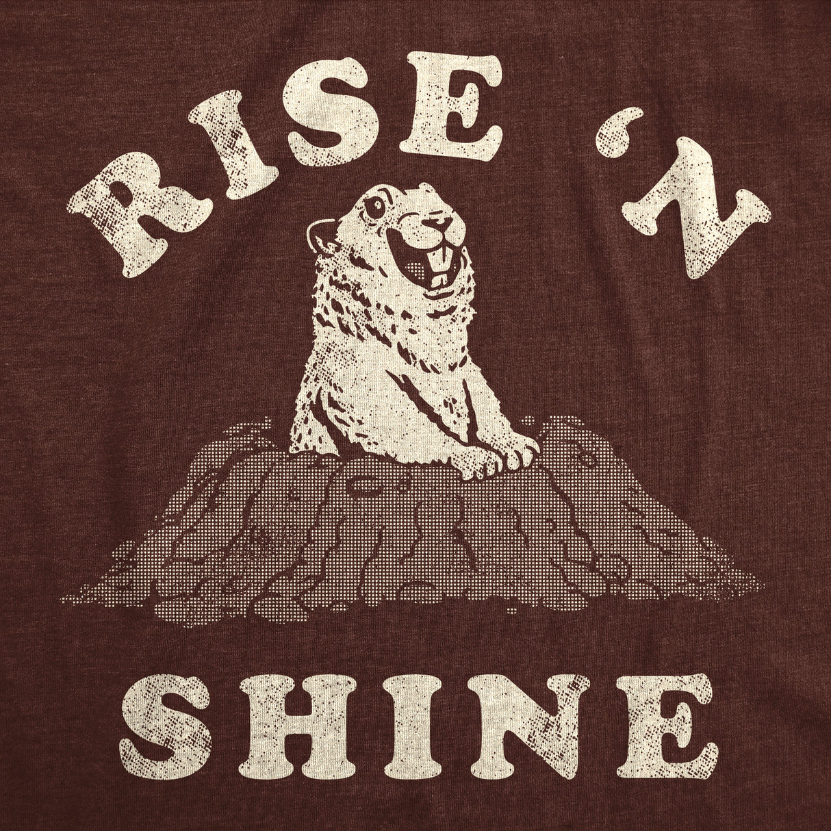 Mens Funny T Shirts Rise N Shine Ground Hogs Day Graphic Tee for Men