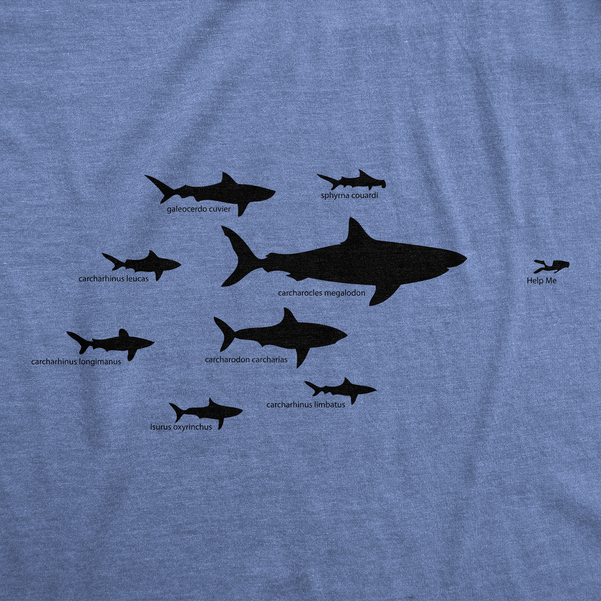 Mens Shark Hierarchy Chart T Shirt Funny Science Ocean Tee For Guys