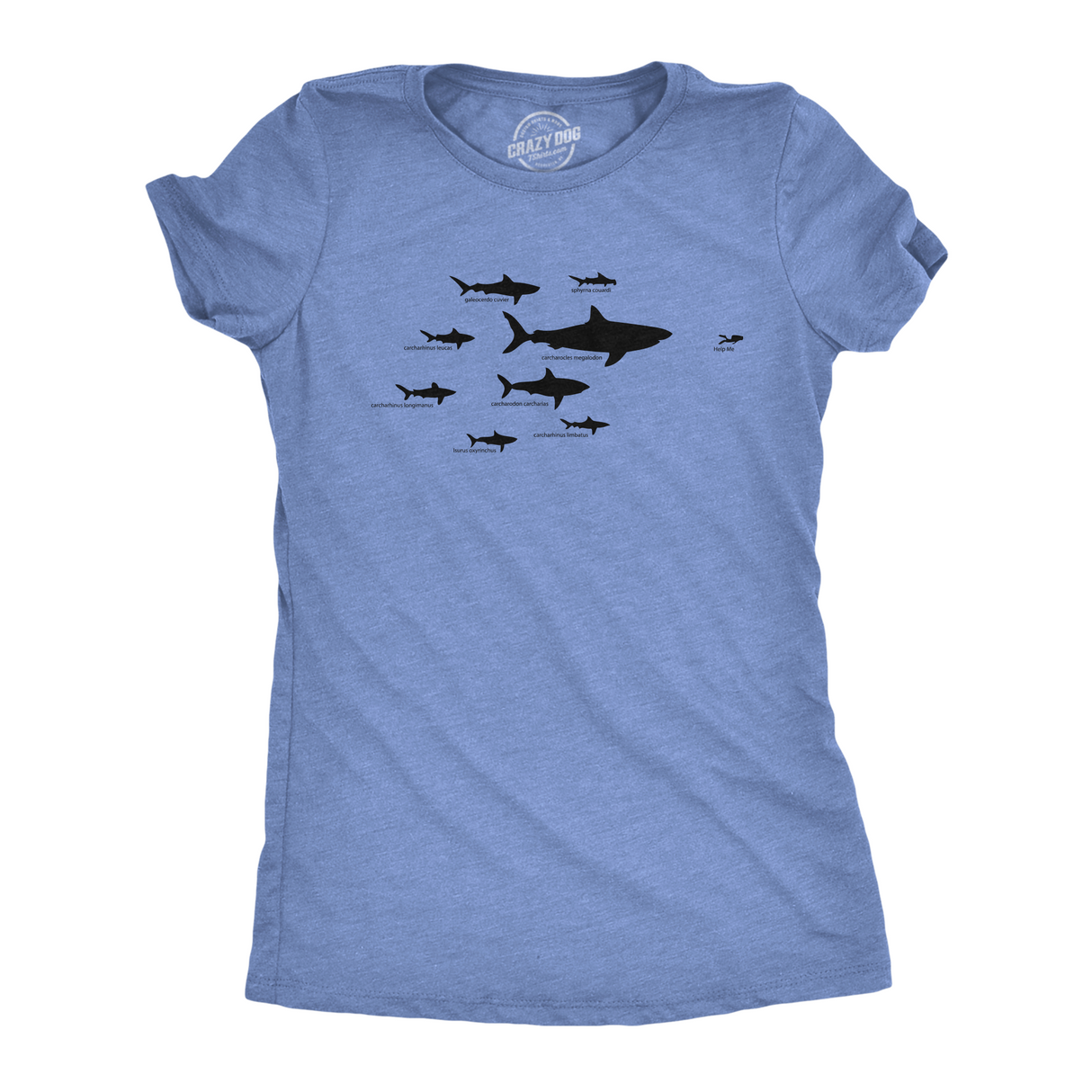 Women's Shark Hierarchy Chart T Shirt Funny Science Ocean Tee For Guys