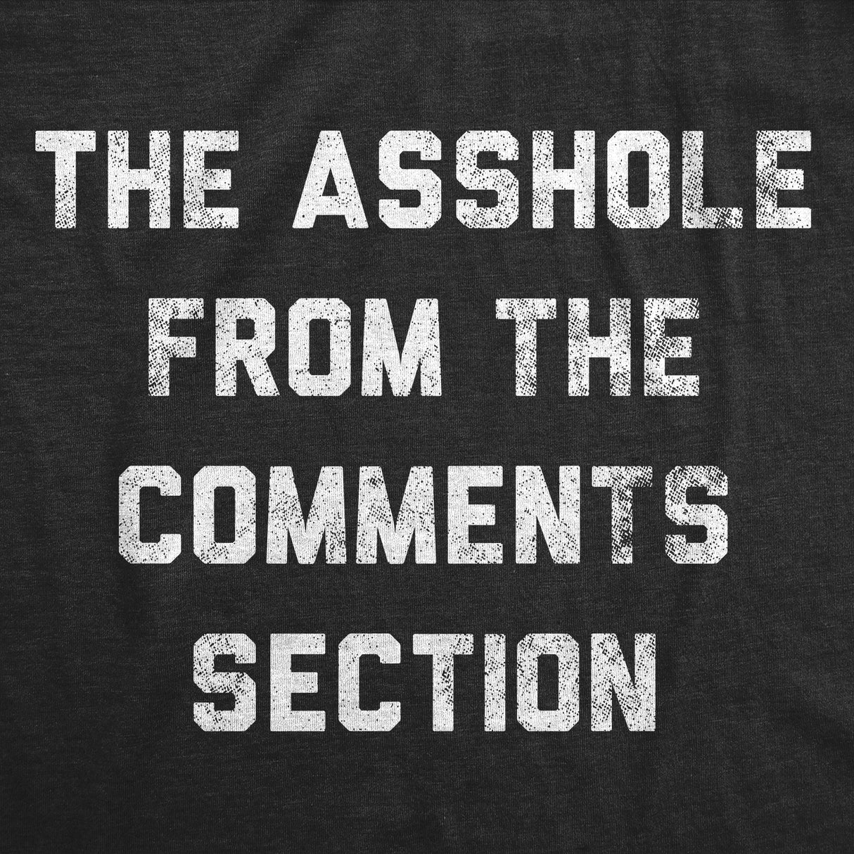 Mens Funny T Shirts The Asshole From The Comments Section Sarcastic Internet Tee for Men