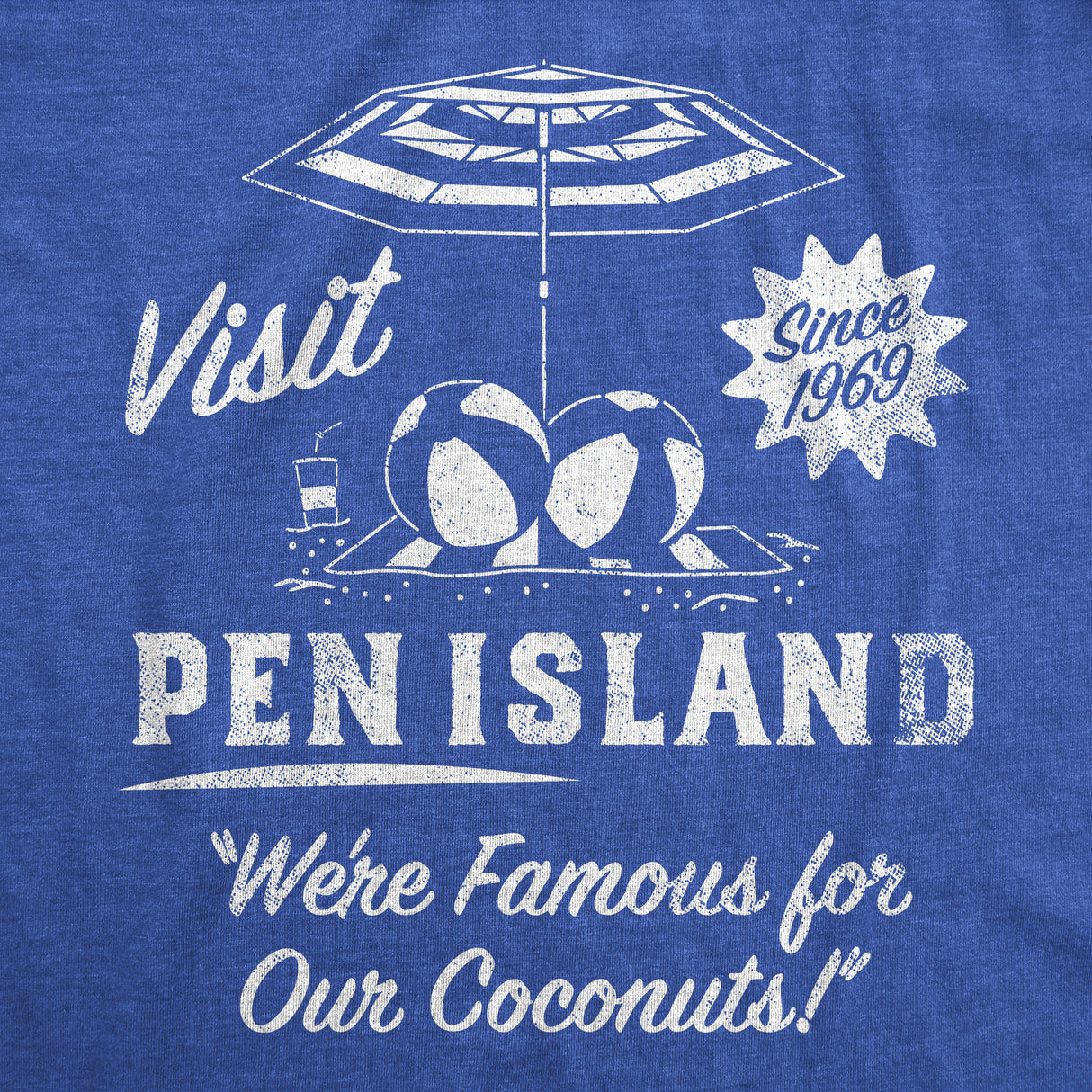 Mens Funny T Shirts Visit Pen Island Sarcastic Graphic Novelty Tee For Men