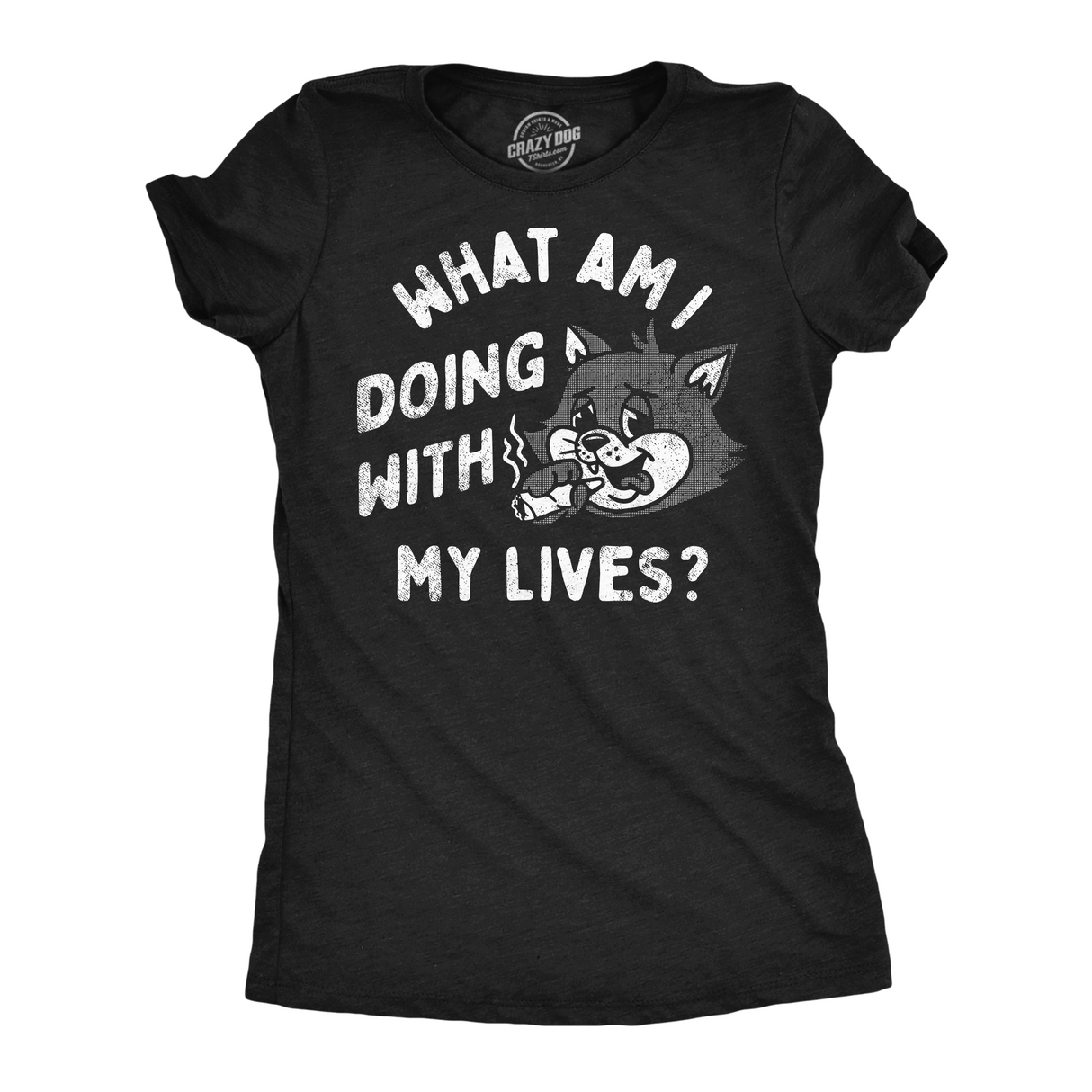 Womens Funny T Shirts What Am I Doing With My Lives Sarcastic Kitten Tee for Ladies