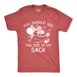 Mens Funny T Shirts You Should See The Size Of My Sack Sarcastic Christmas Graphic Tee for Men