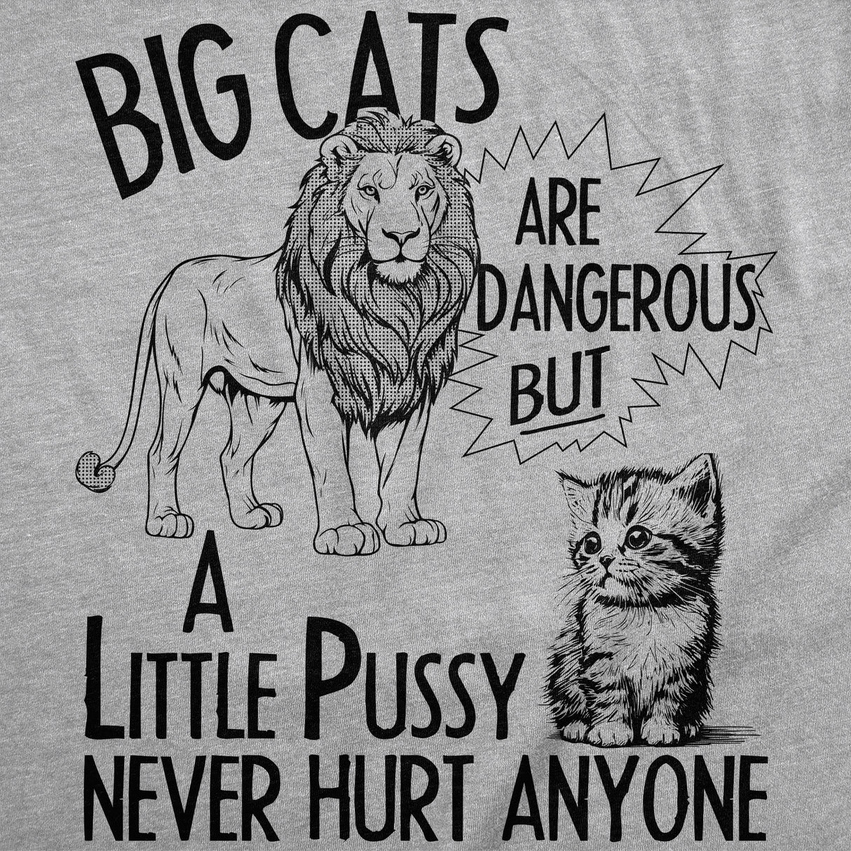 Womens Funny T Shirts Big Cats Are Dangerous But A Little Pussy Never Hurt Anyone Novelty Tee for Ladies