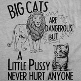 Womens Funny T Shirts Big Cats Are Dangerous But A Little Pussy Never Hurt Anyone Novelty Tee for Ladies