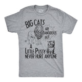 Mens Funny T Shirts Big Cats Are Dangerous But A Little Pussy Never Hurt Anyone Novelty Tee for Men